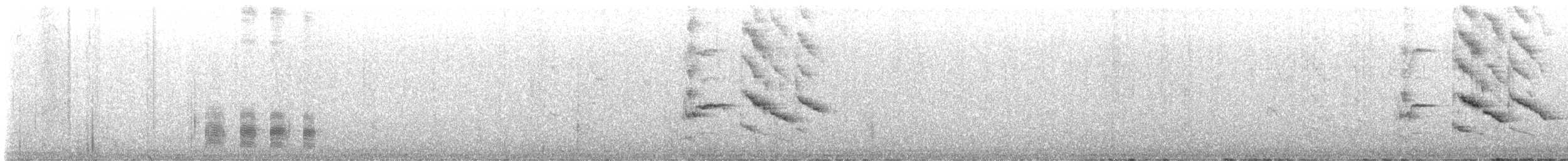 Mangrove Cuckoo - ML632786688