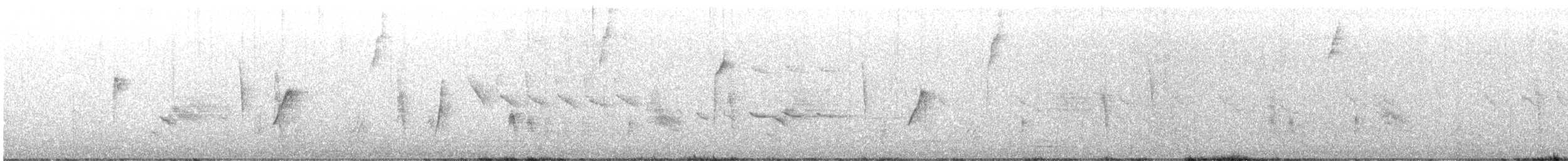 Thick-billed Vireo - ML632786780