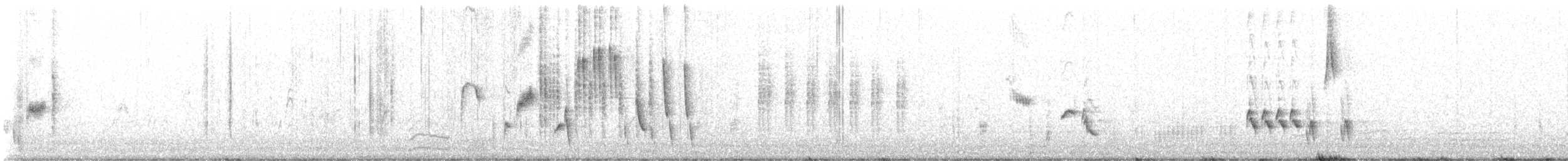 Зулбаран гургалдай - ML632788612