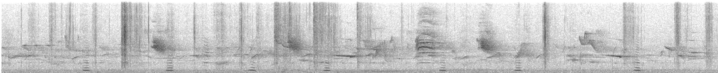 Kalij Pheasant - ML632792420