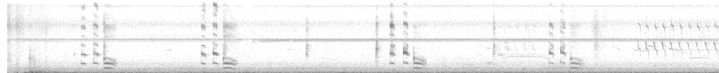 chřástal tmavý - ML632796667