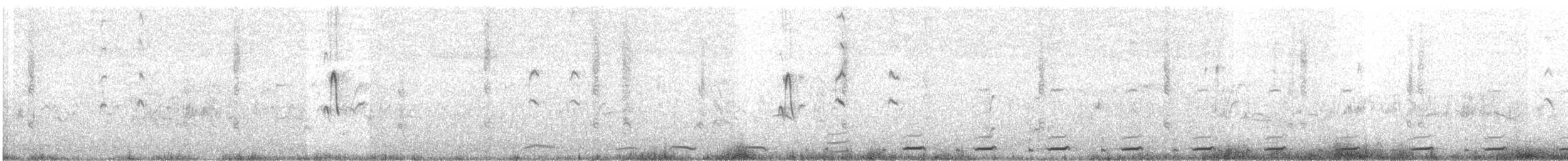 Graubrust-Höhenläufer - ML632796983