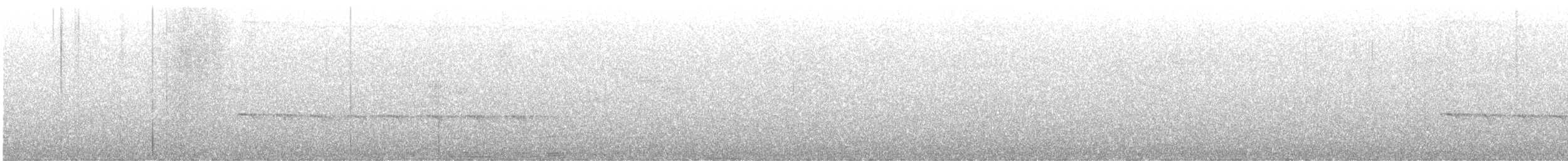 Zeledon's Antbird - ML632797293