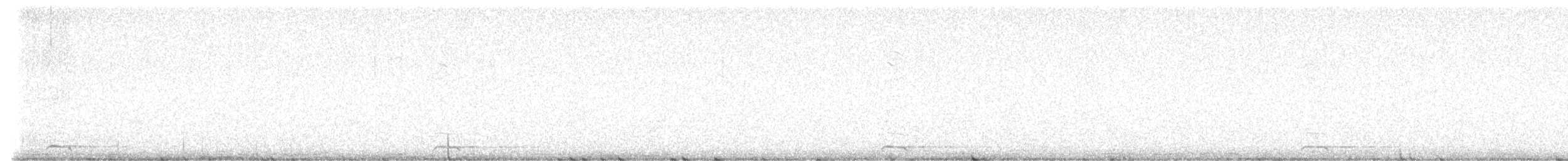 Northern Pygmy-Owl (Rocky Mts.) - ML632802596