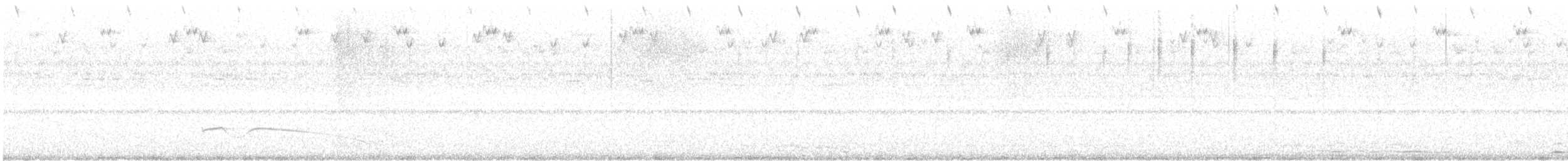 hornnattravn - ML632804430