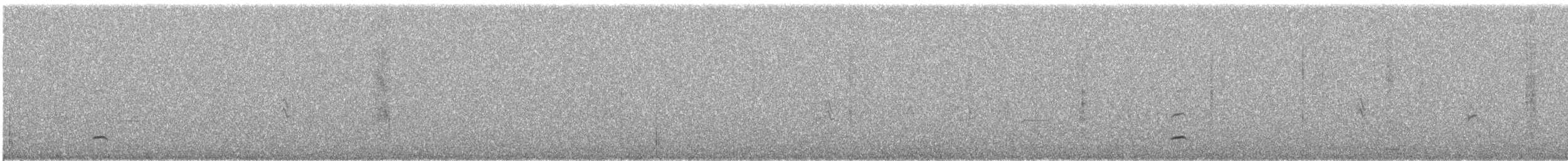 Codone - ML632807523