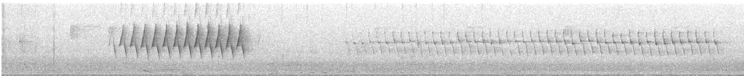 Schwirrammer - ML632807709