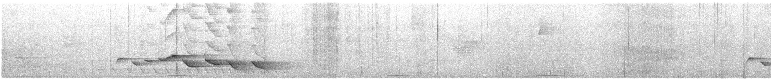 ハシナガミソサザイ - ML632808063