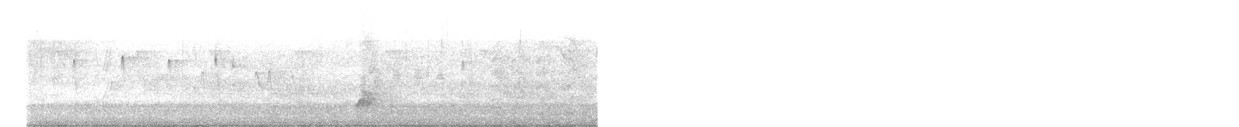 Sick's Swift - ML632808935
