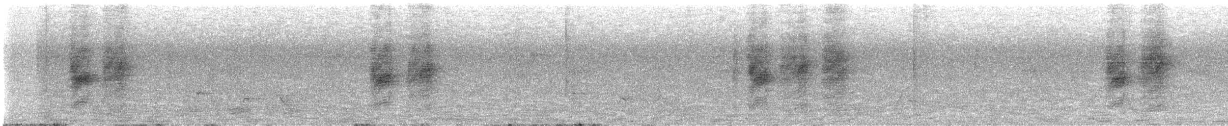 African Paradise-Flycatcher - ML632810909