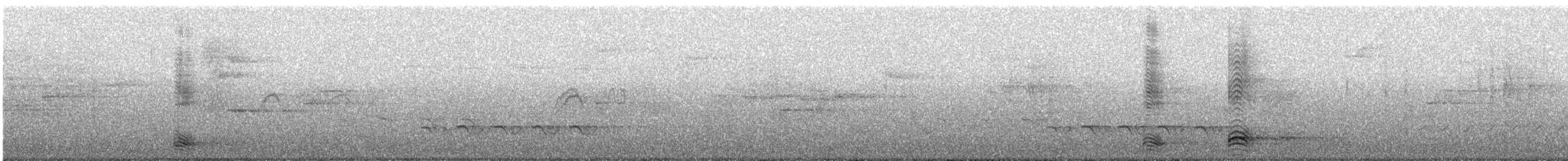 Corneille de rivage - ML632811387
