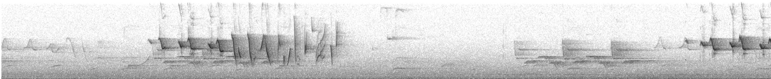 Paruline hochequeue - ML632811411