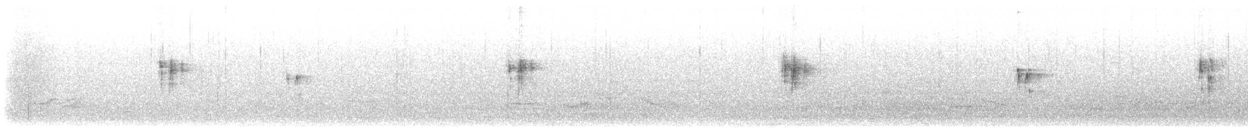 White Wagtail (White-faced) - ML632812052