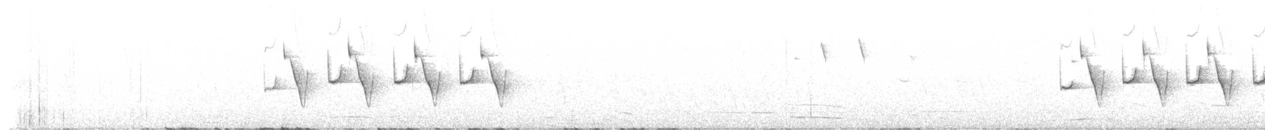 Coal Tit (Atlas) - ML632812562