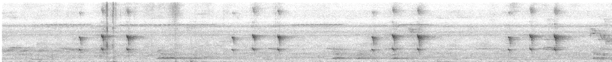 Western Woodhaunter - ML632812676