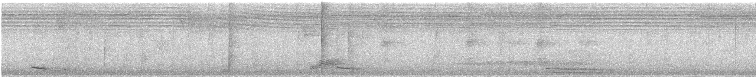 Lance-tailed Manakin - ML632822659