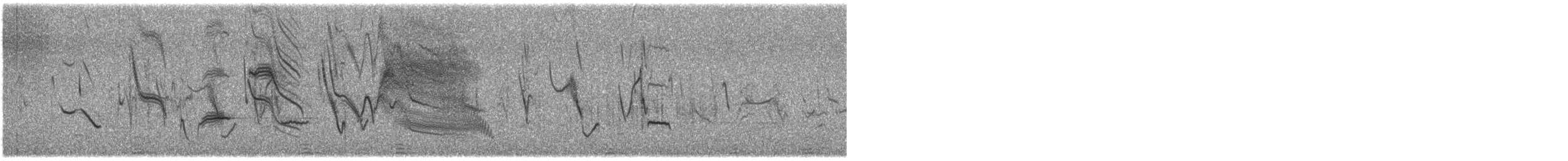 Long-tailed Meadowlark - ML632824812