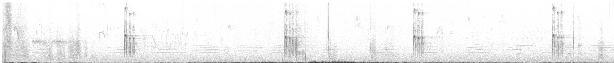 White-headed Woodpecker - ML632829585