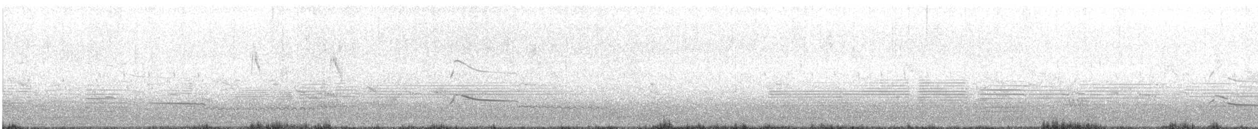 トビ（lineatus／formosanus） - ML632832592