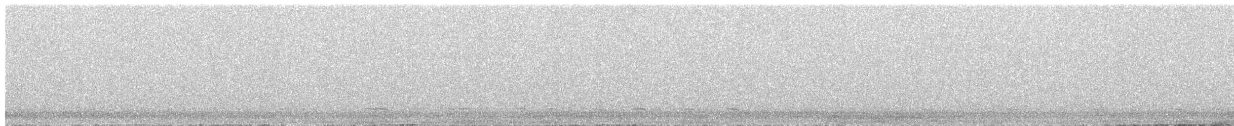 turpan černý - ML632833192