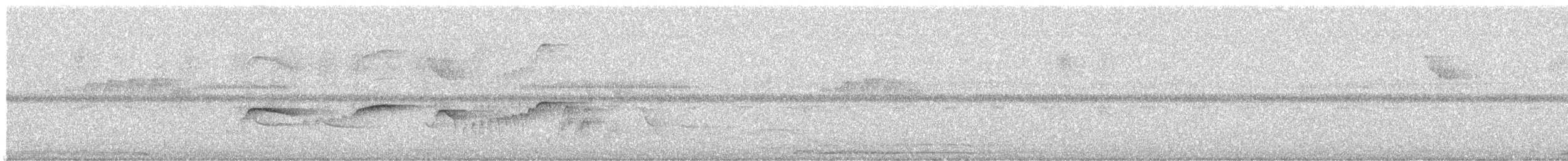 Southern Antpipit - ML632836968