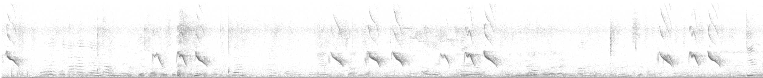Allotrie siamoise (ripleyi) - ML632840760