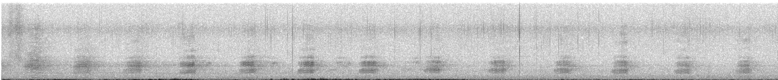 Canard noir - ML632843595