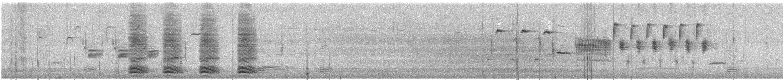 American Crow - ML632843937