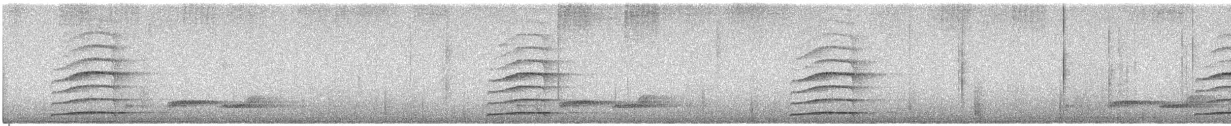 Unspotted Saw-whet Owl - ML632847559