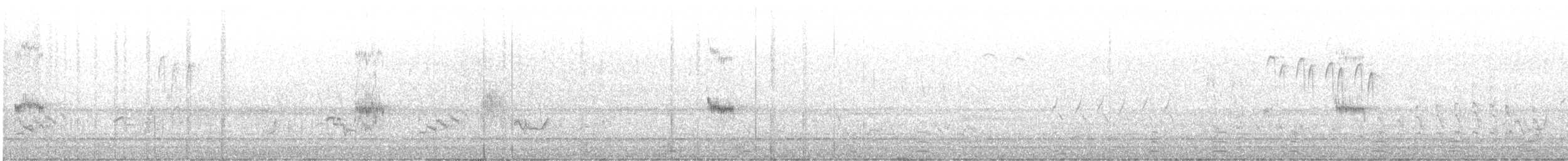 Northern Shrike - ML632848392