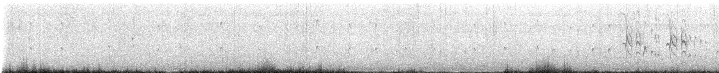 brunhettespettmeis - ML632848896