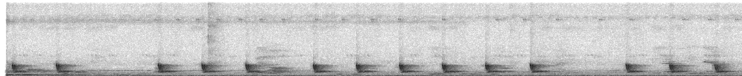 Large-tailed Nightjar - ML632848905