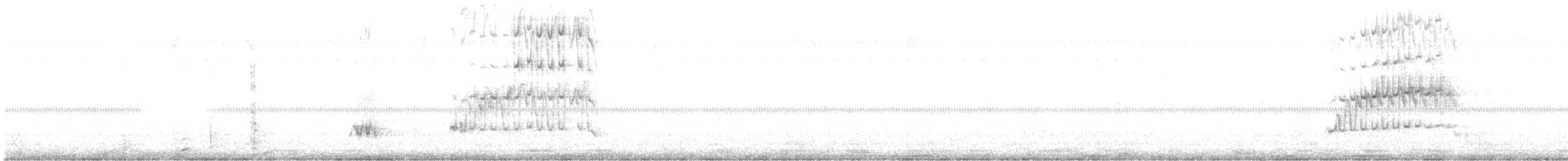 scops-owl sp. - ML632852510