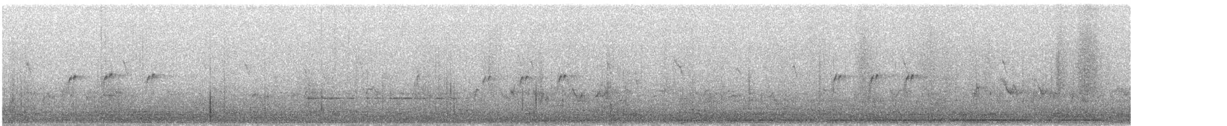 Tawny-flanked Prinia