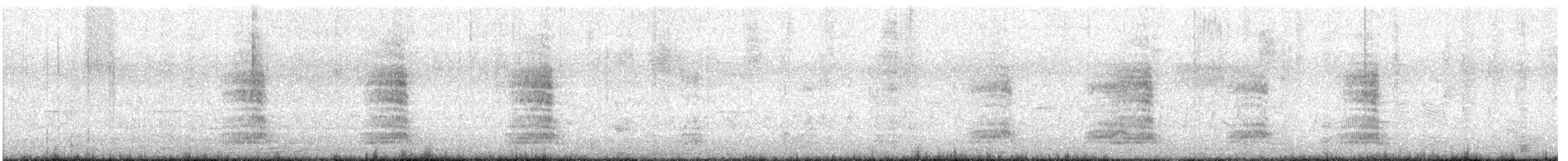 Mallard (Domestic type) - ML632854718