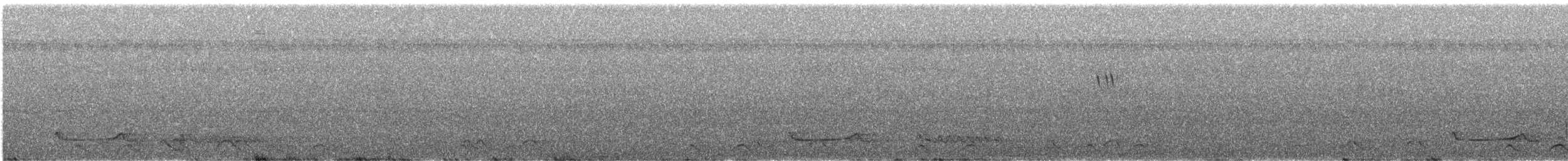 Freckled Nightjar - ML632854820