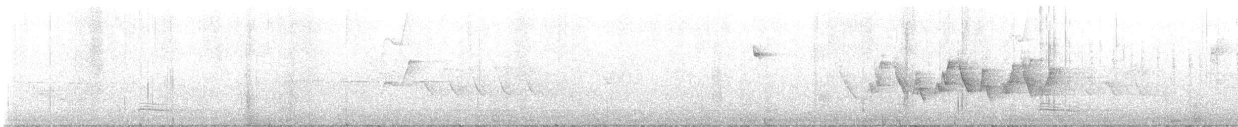 Western Flycatcher - ML632863518