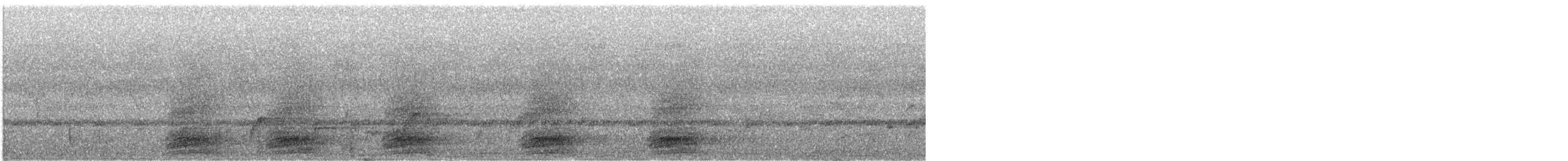 Pied Crow - ML632865220