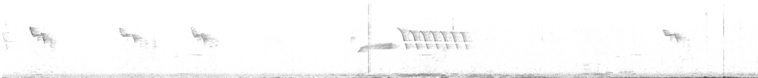 Bewick's Wren - ML632867280