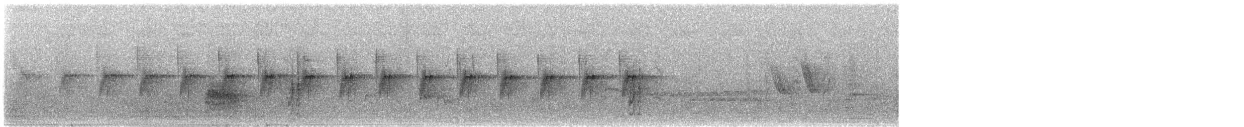 Tawny-flanked Prinia