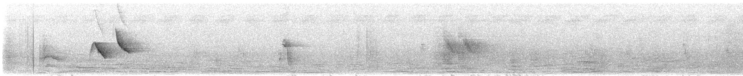 African Pied Wagtail - ML632871283