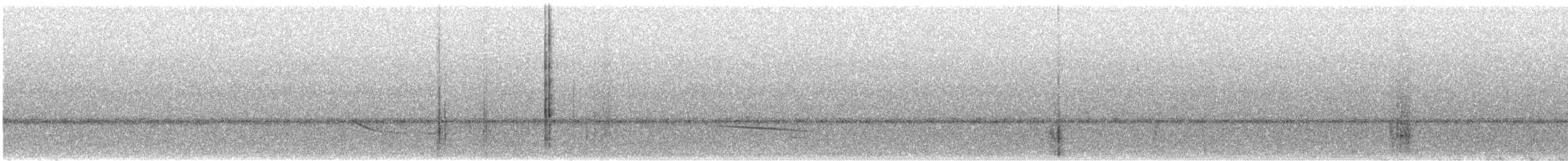 Slender-billed Greenbul