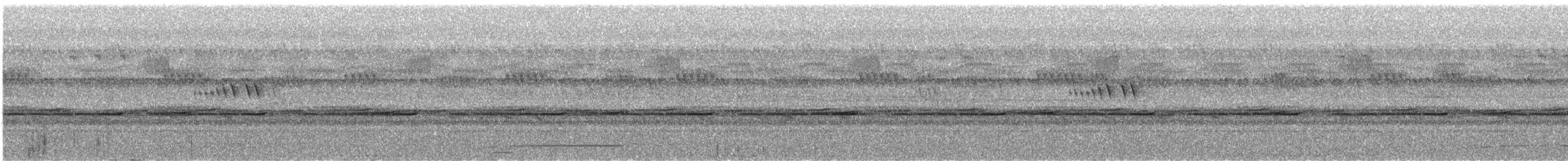 Akun Puhusu - ML632871492