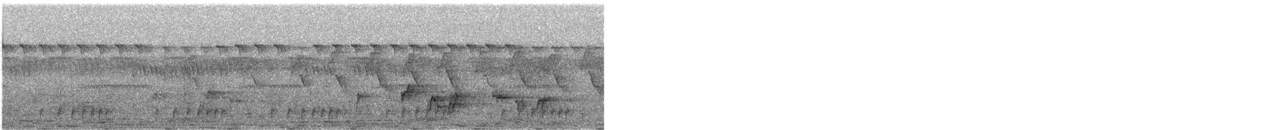 Speckled Tinkerbird - ML632876925