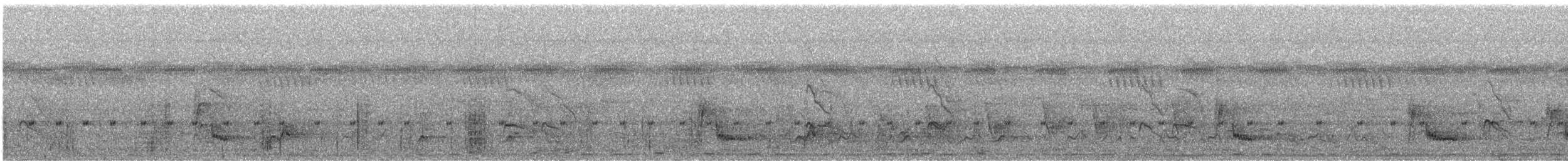 Gray-headed Bristlebill