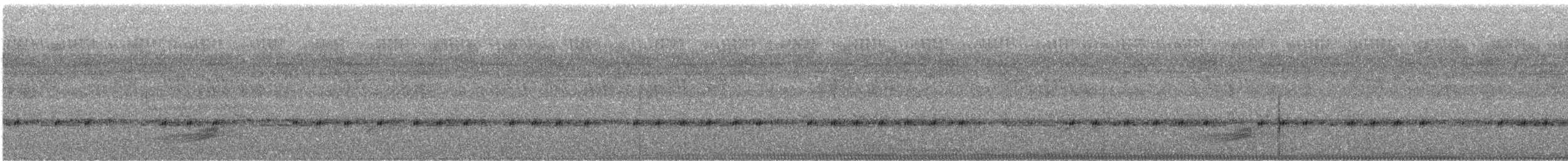 Finsch's Flycatcher-Thrush - ML632877724
