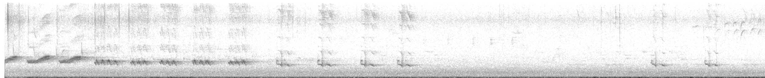 Northern Mockingbird - ML632879457