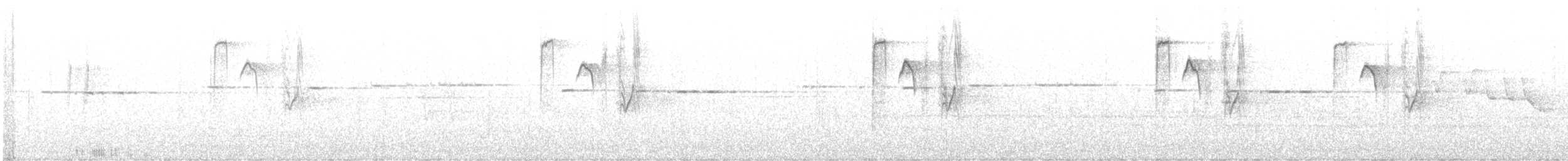 Spotted Elachura - ML632881361