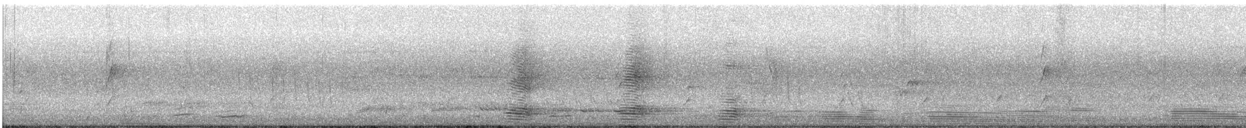Corbeau de Torres - ML632883839