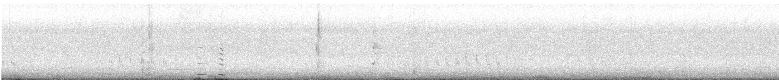 Cygne noir - ML632884875